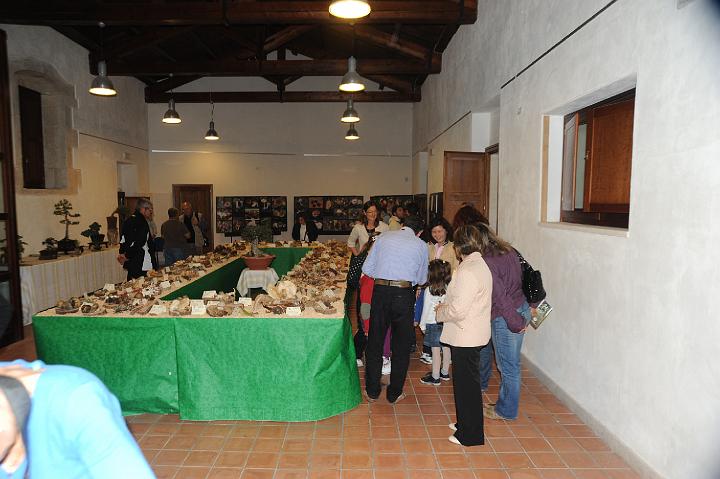 2Mostra Micologica Avola 13.11.2010 (121).JPG